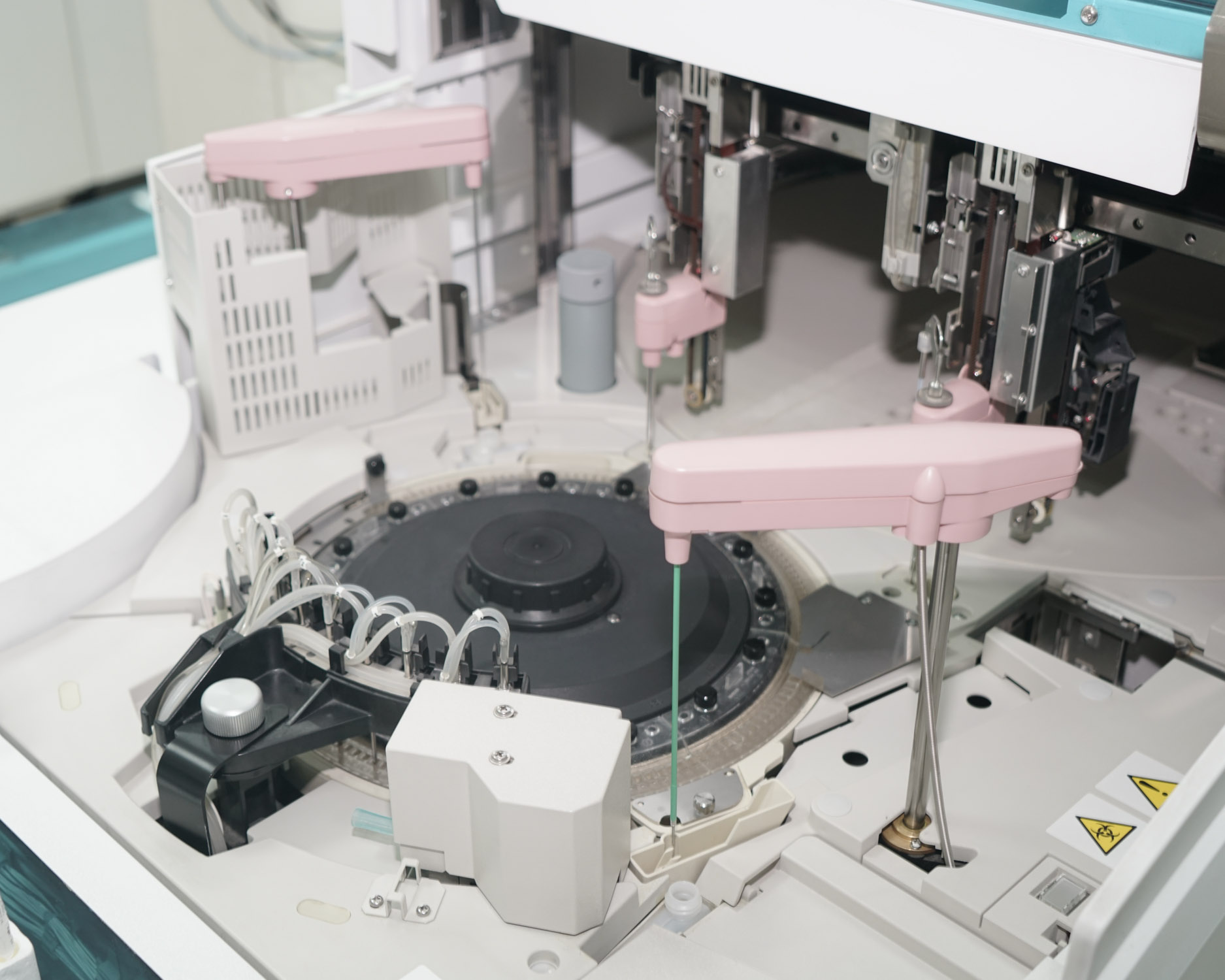 Biologie Moléculaire